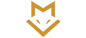 会员信息查询系统